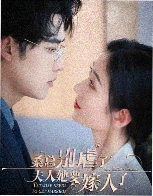 镜面二次构图动漫接吻视频分类标签调整说明